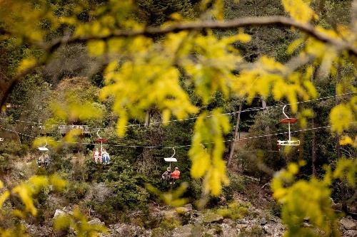 BIG4 Launceston Holiday Park image 1