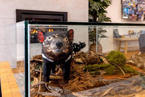 BIG4 Launceston Holiday Park image 34