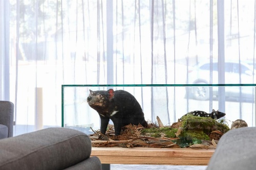 BIG4 Launceston Holiday Park image 7